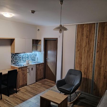 Centar Novi Sad-Apartman No 1 ภายนอก รูปภาพ